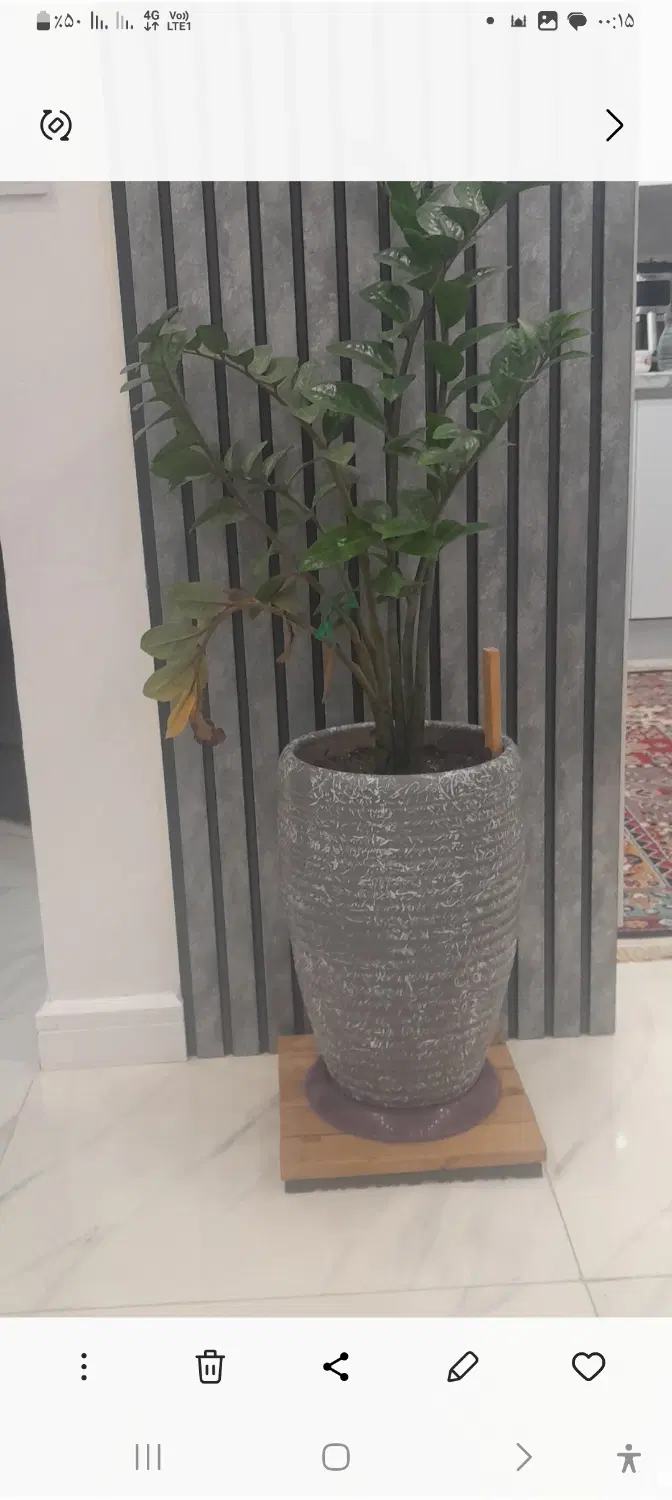 اجاره اتاق