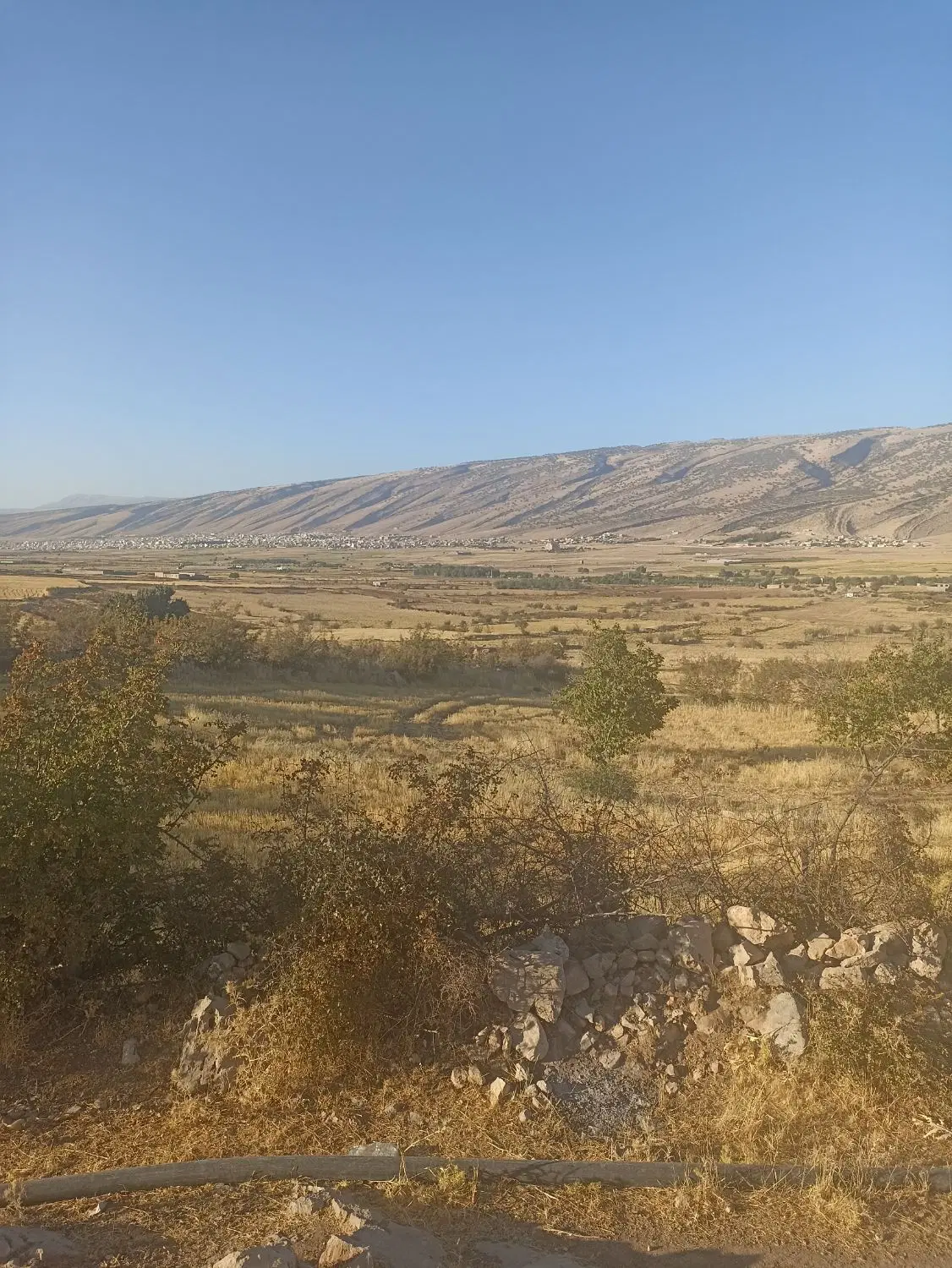 زمین کشاورزی کنار امامزاده سید عبدالله