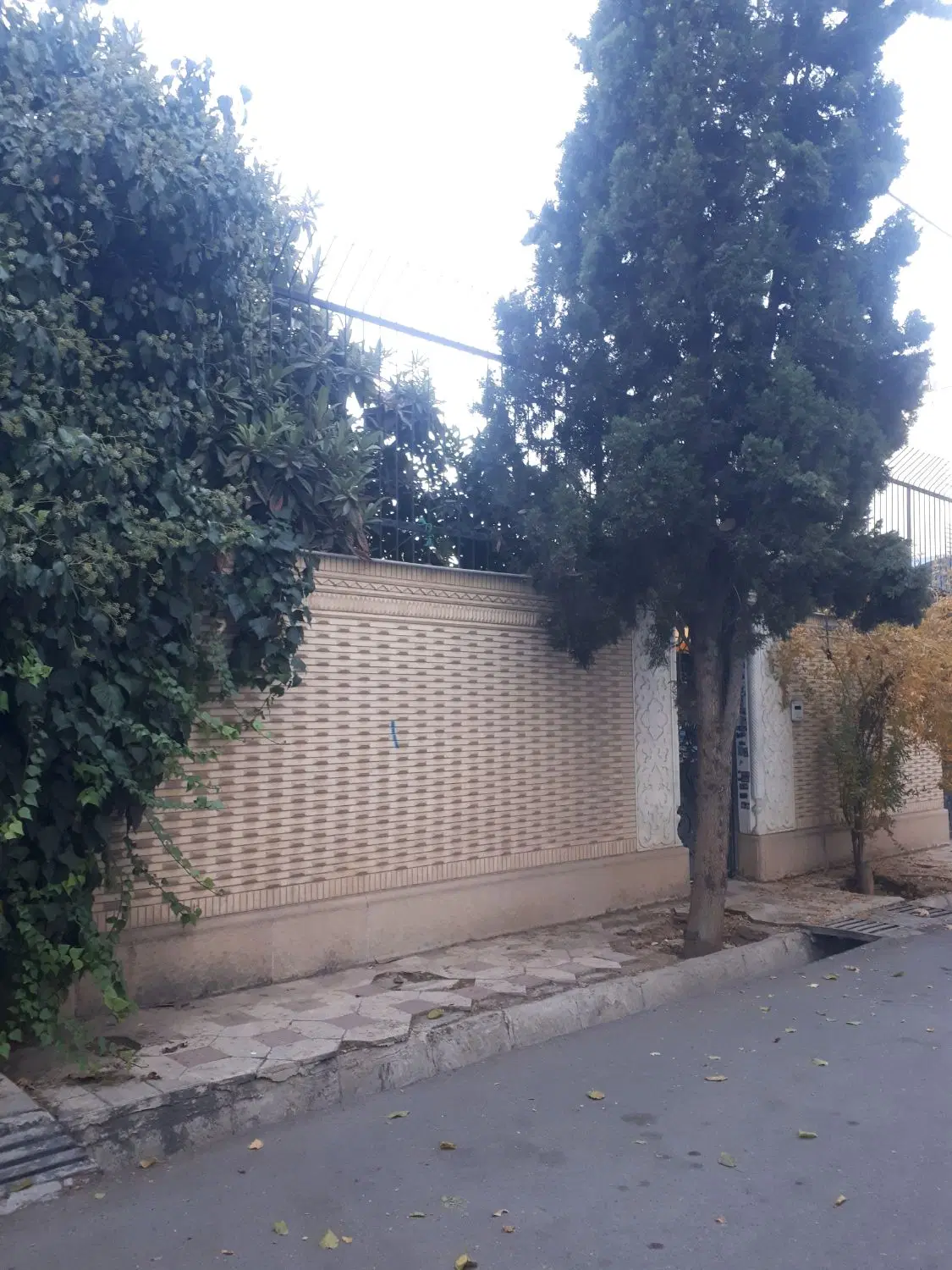 ویلایی دوم طبقه __اصلاح نژاد