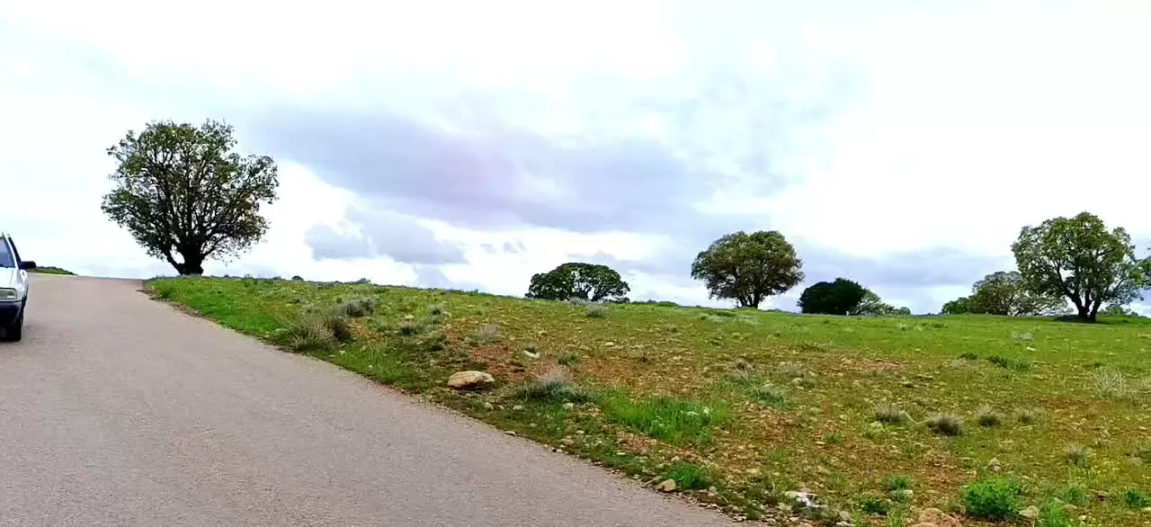 ملک سردسیری 930متر