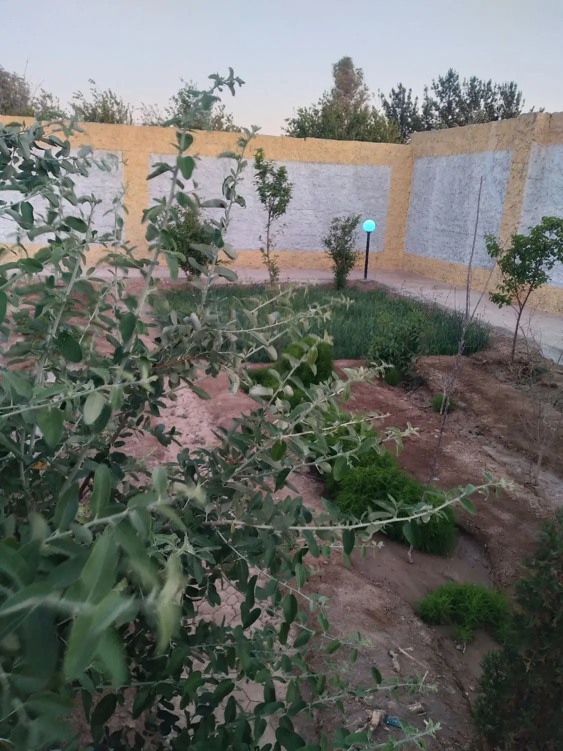 باغ ۵۰۰ متری امین آباد