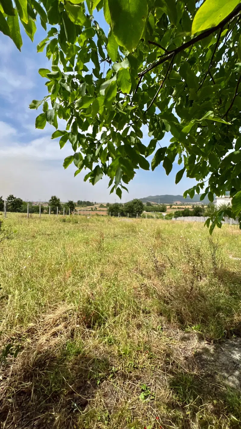 زمین باغی کرداباد