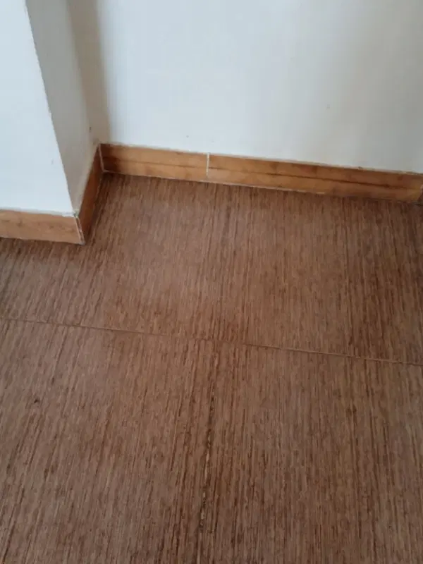 اجاره یک باب مغازه