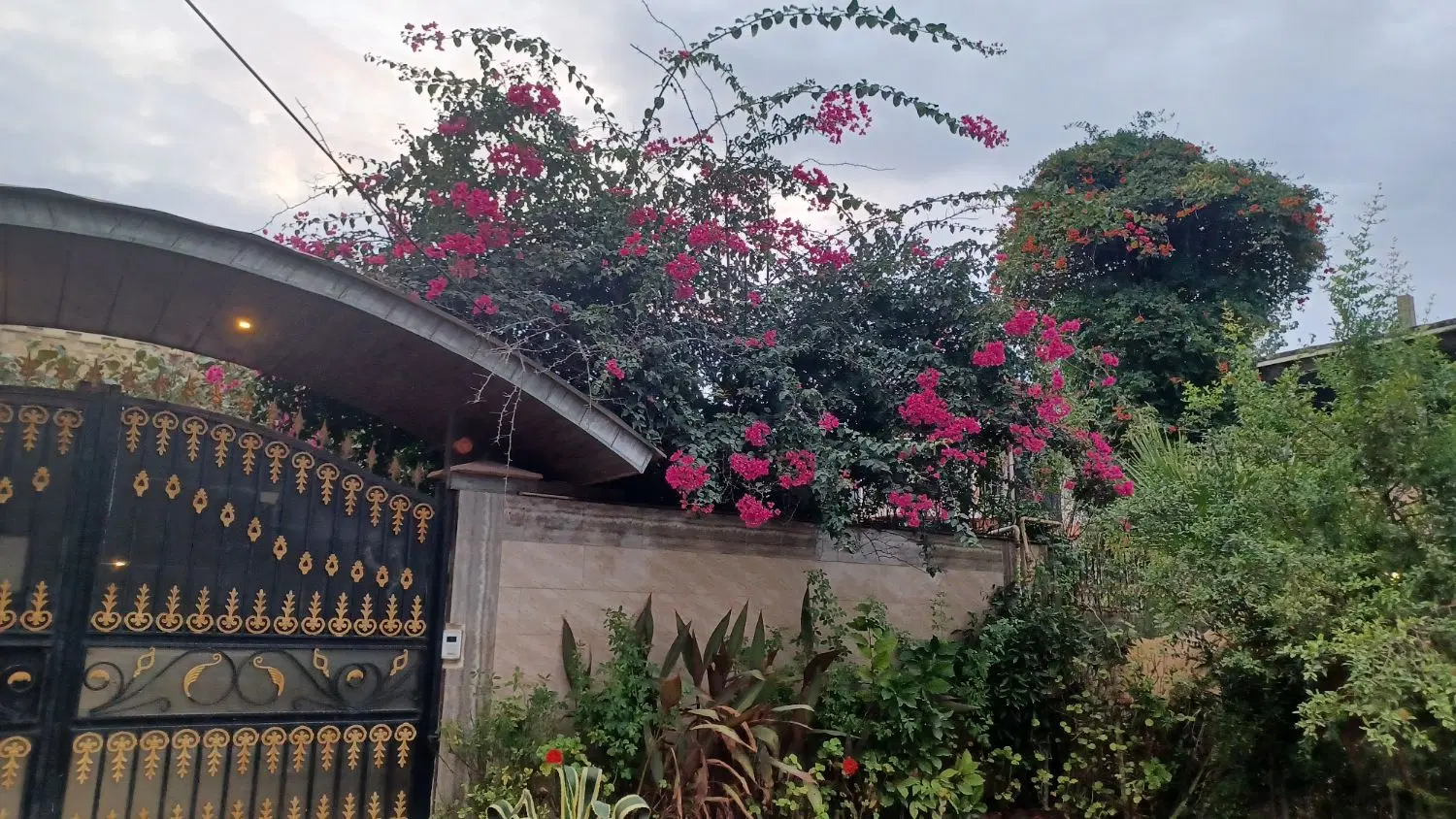 فروش آپارتمان