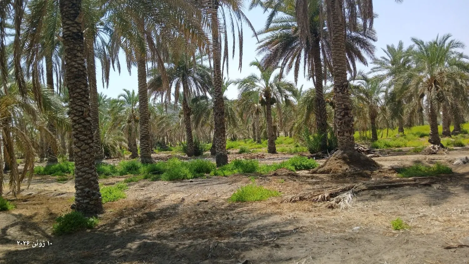 ملک به فروش می‌رسد معاوضه هم دارم اجاره هم میدم