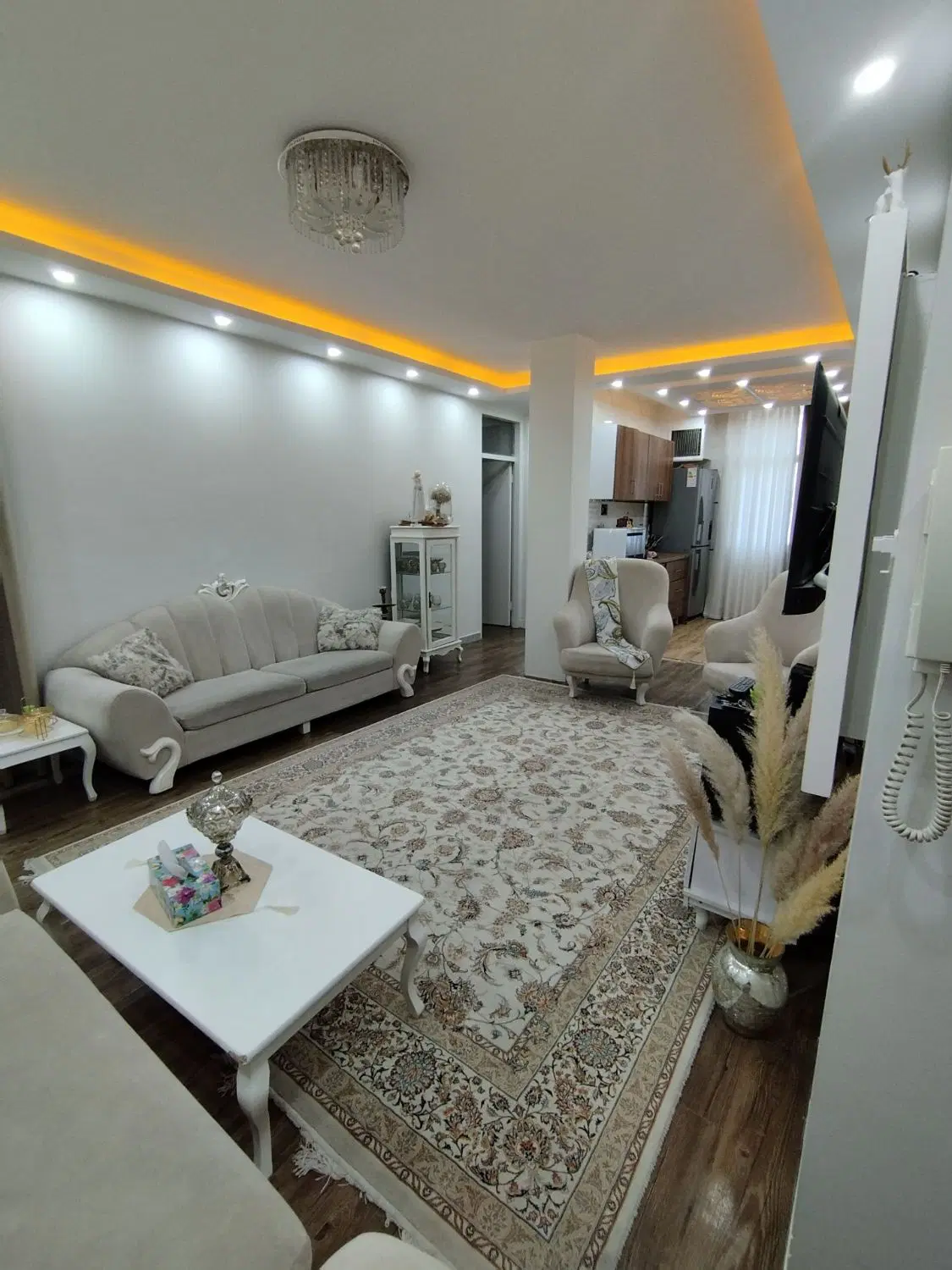 شاخه اصلی آسانسور دار