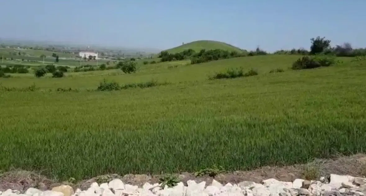 زمین کشاورزی سنددار بر جاده