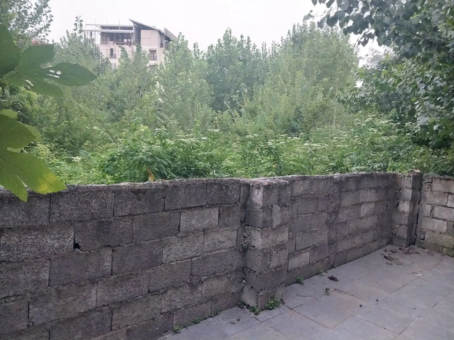 ویلای شهری در لاهیجان