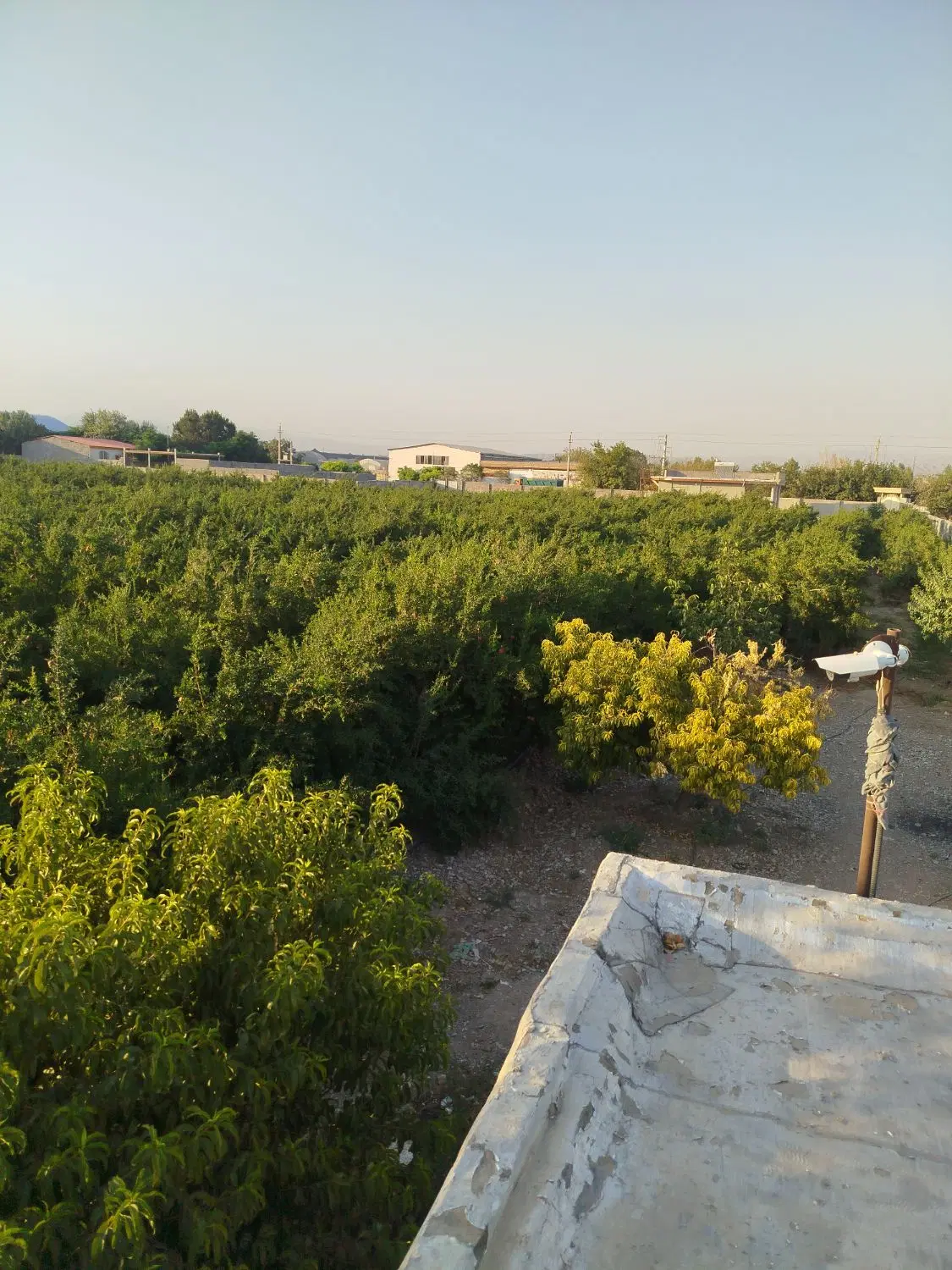 باغچه