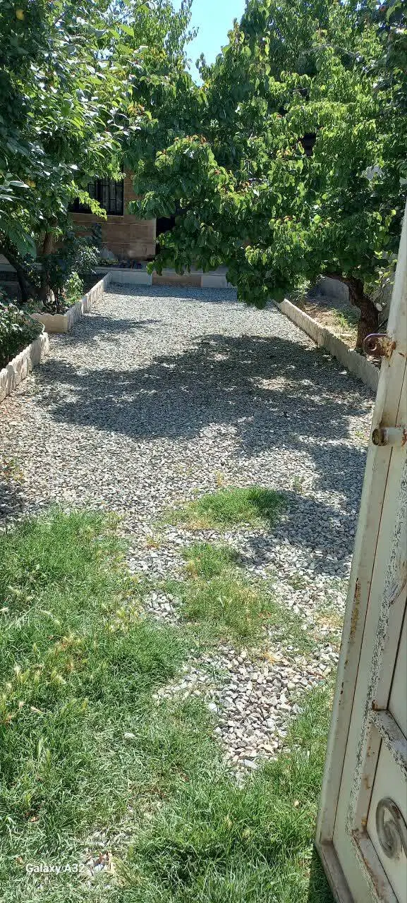 فروش باغچه در وحیدیه