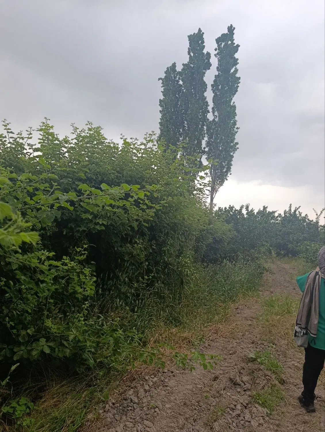 زمین باغی، مسکونی