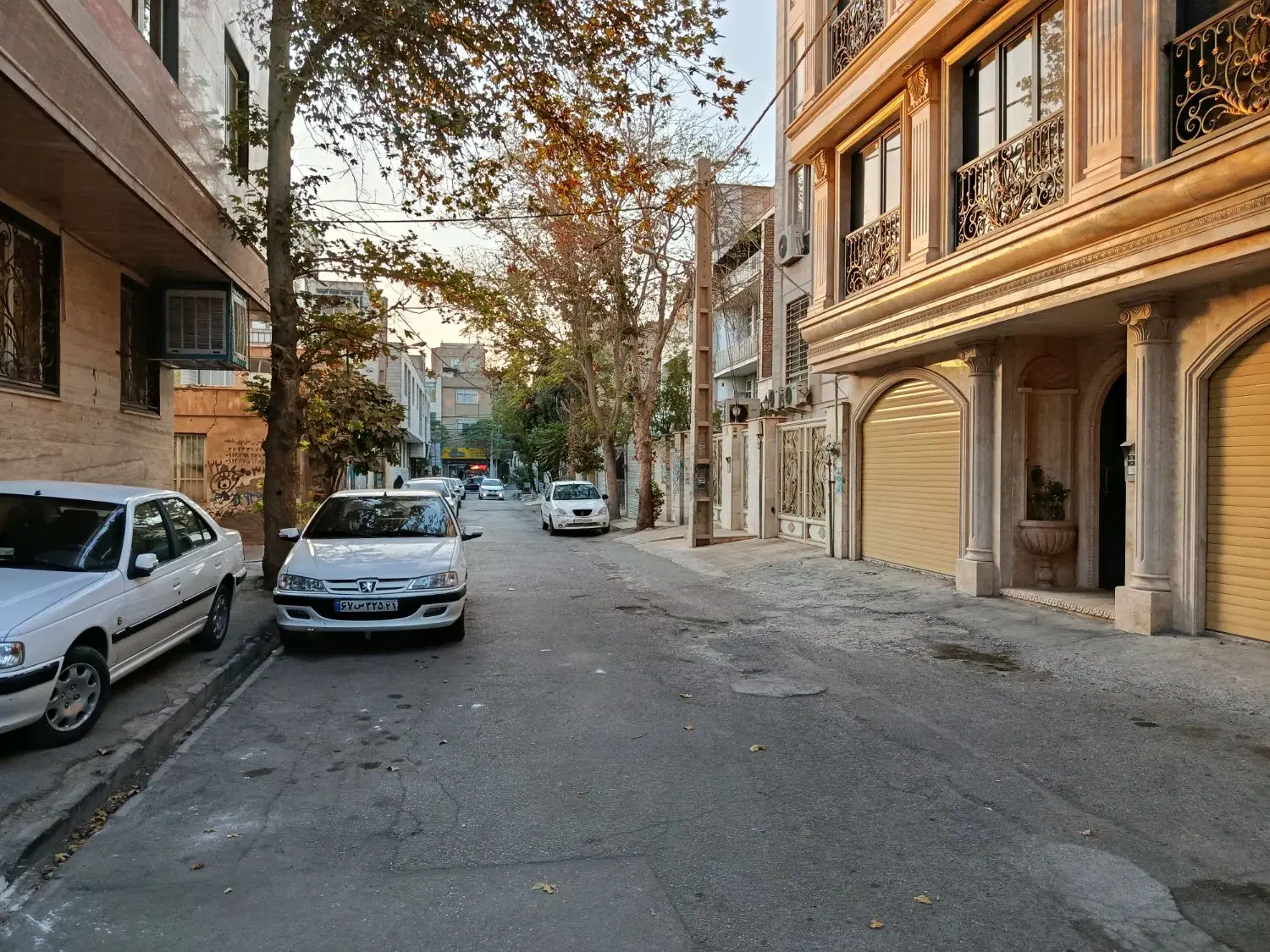کلنگی