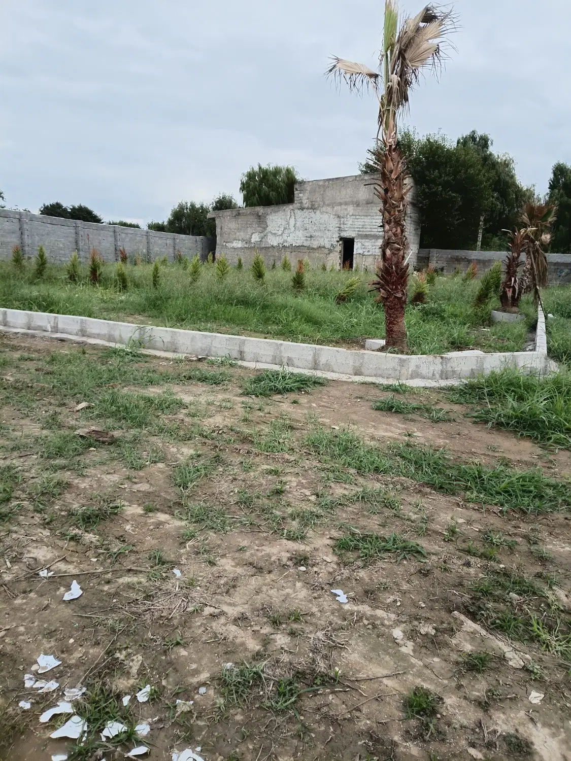 فروش زمین جنگلی وساحلی