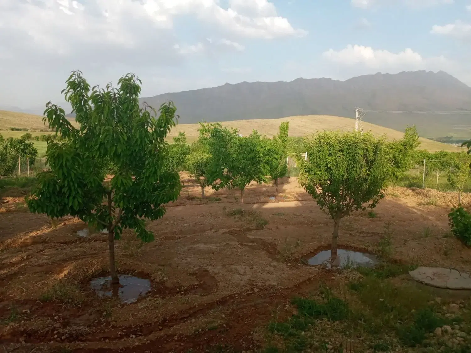 باغ اراک منطقه استانه خوش آب هوا