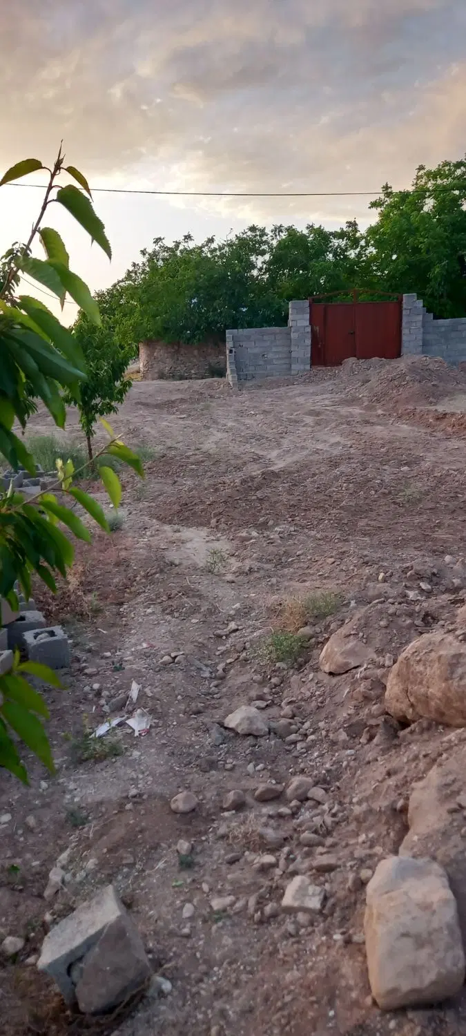 زمین ۱۲ قصبی سکنج