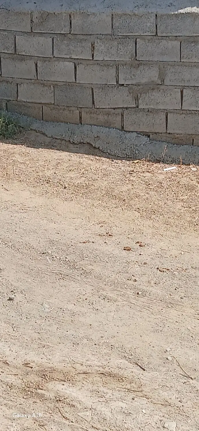 زمین مسکونی