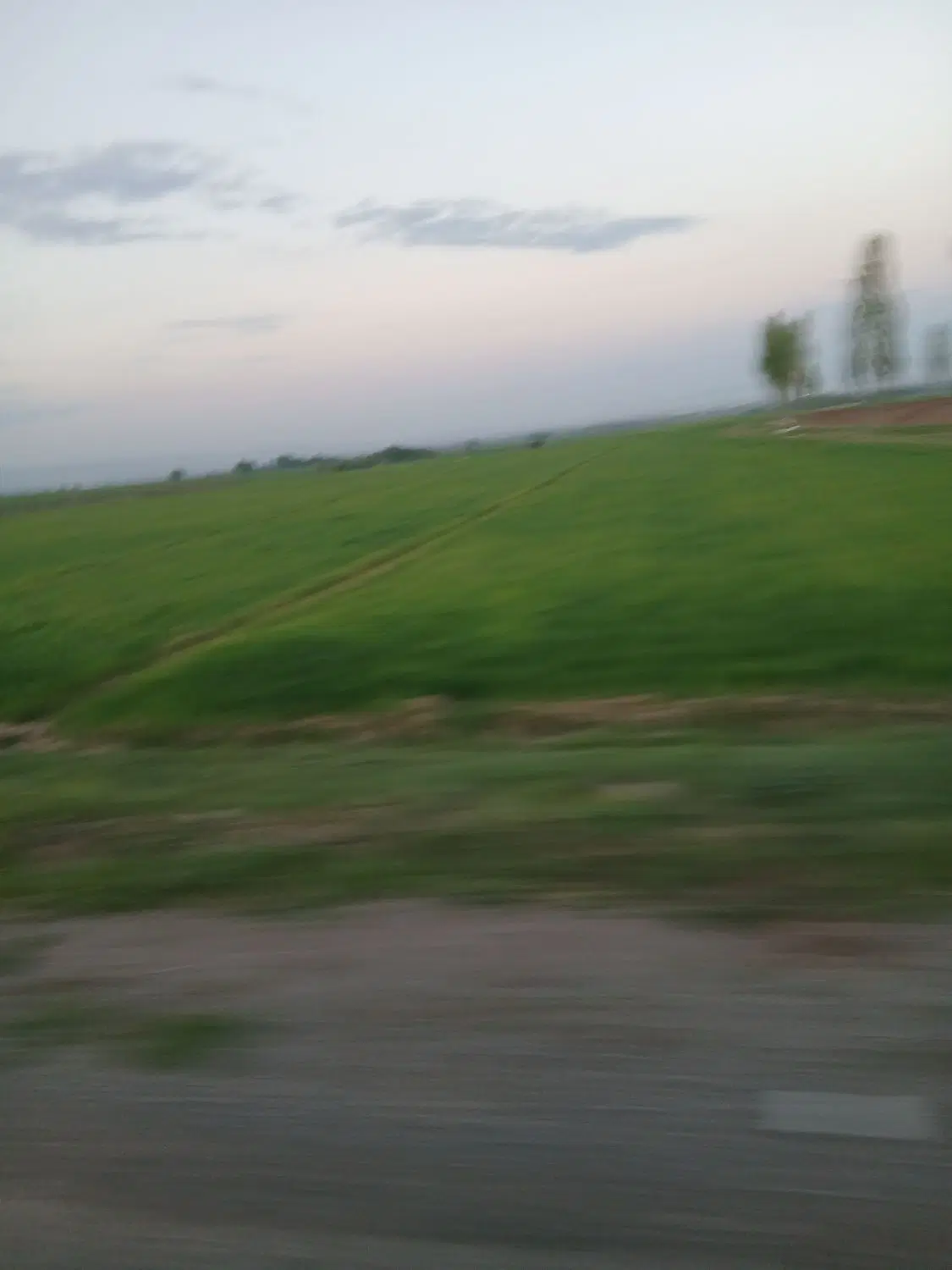 زمین مسکونی ۳۰۰ متر