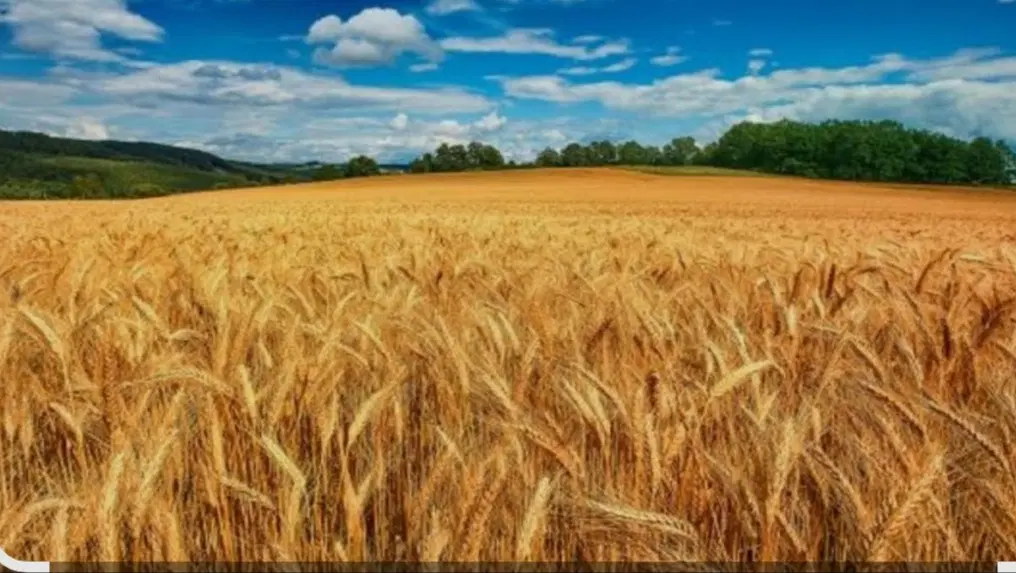 به نوشته زیر توجه نمایید