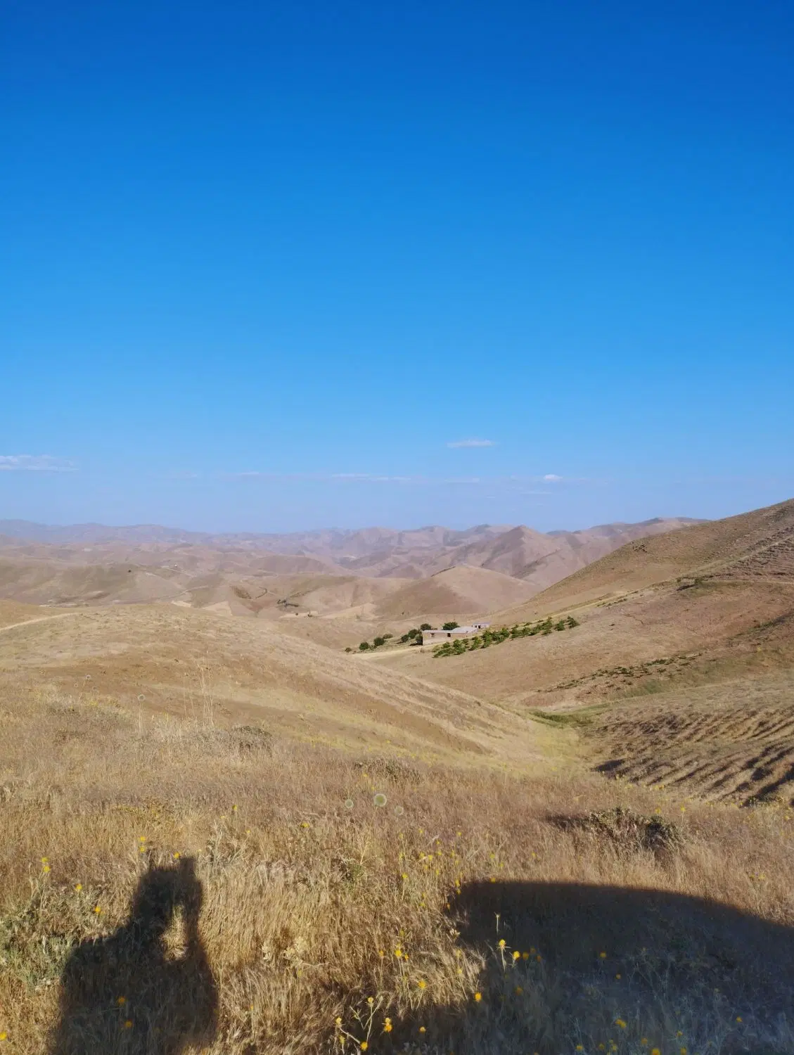 زمین نایسر