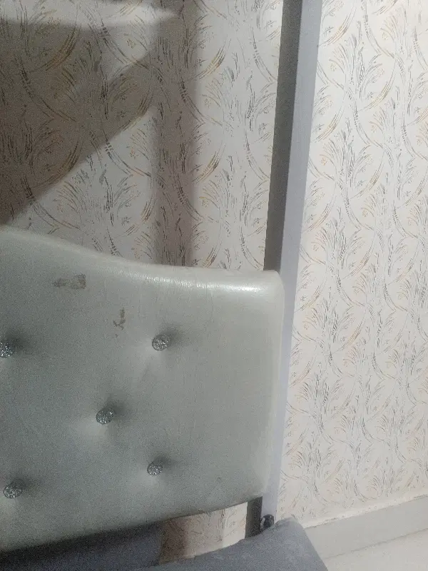 همخانه خانم