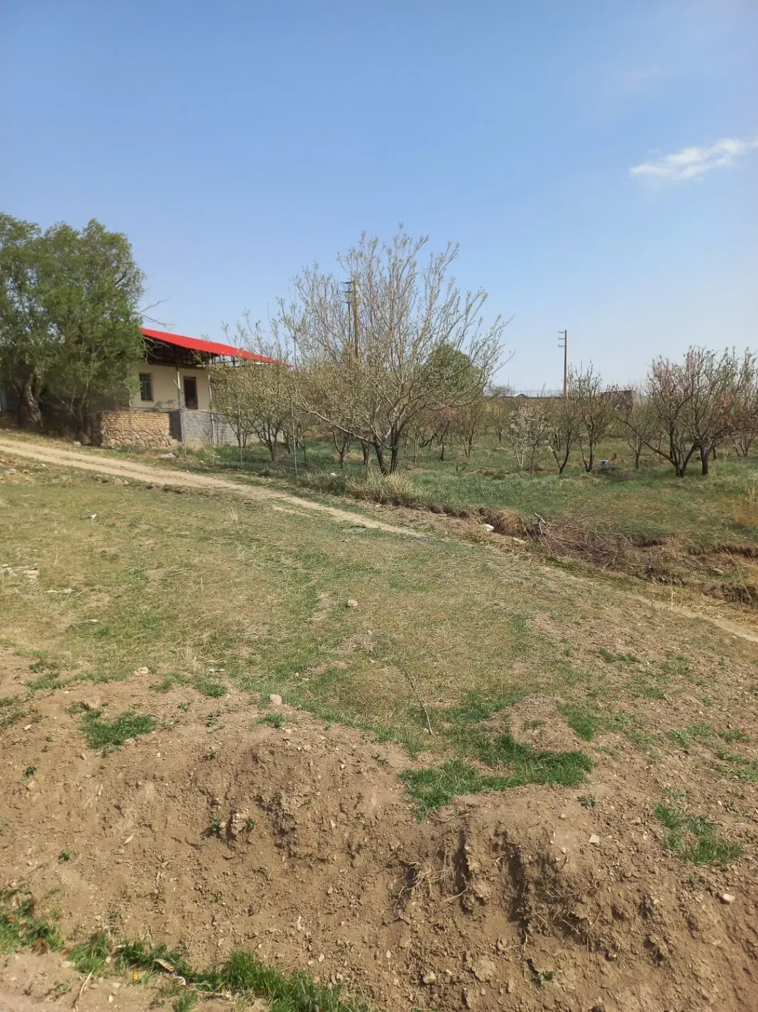 زمین در ابسرد مرانک