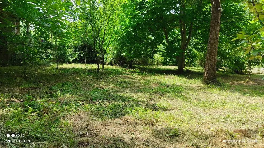 ۴۰۰ مترزمین کاملا مسکونی در مرکز شهر سنگر (رشت)