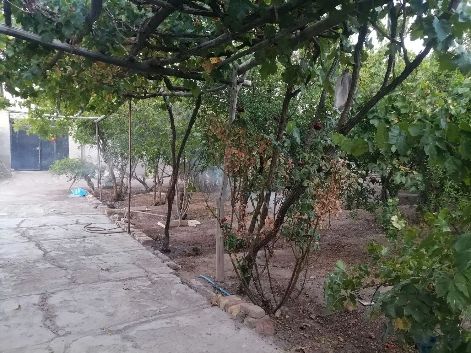 خانه باغ