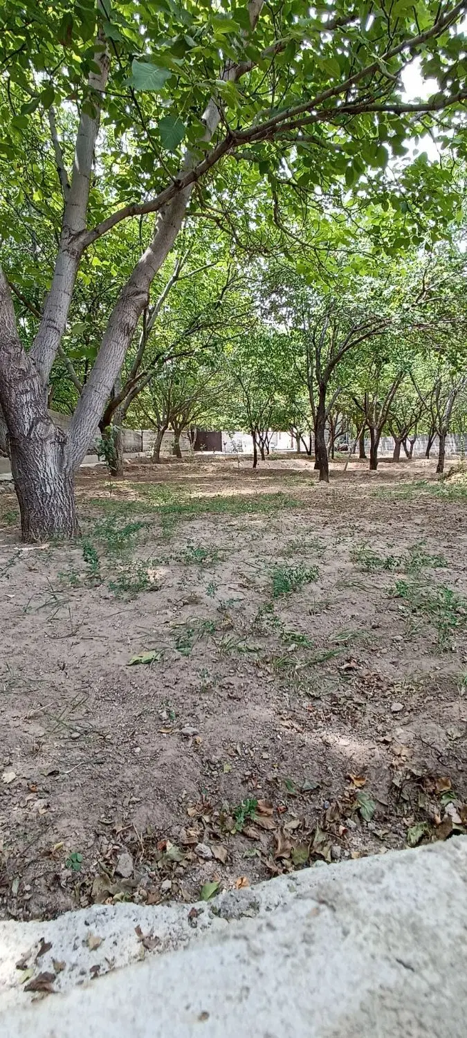 «باغ ۱۰۵۰متری پربار،خوش آب و هوا،اتاق و حصار»