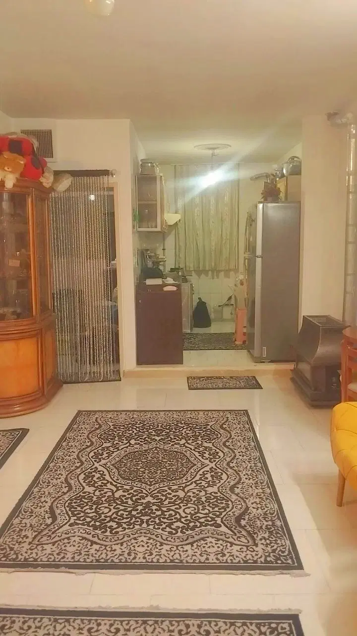 آپارتمان نقلی ۴۷متری.نورگیر عالی.ویو پارک.مترو
