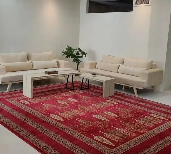 سویت اول شاهگلی