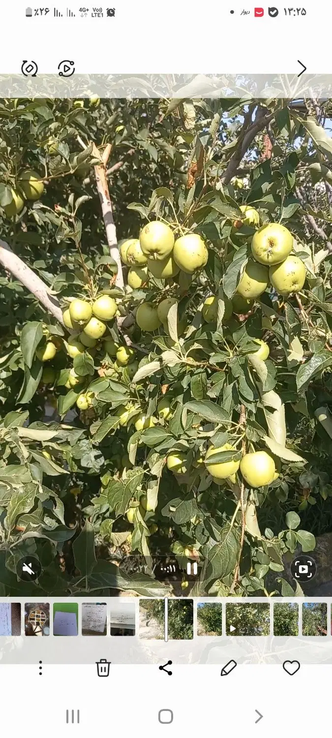 فروش ویلا باغ