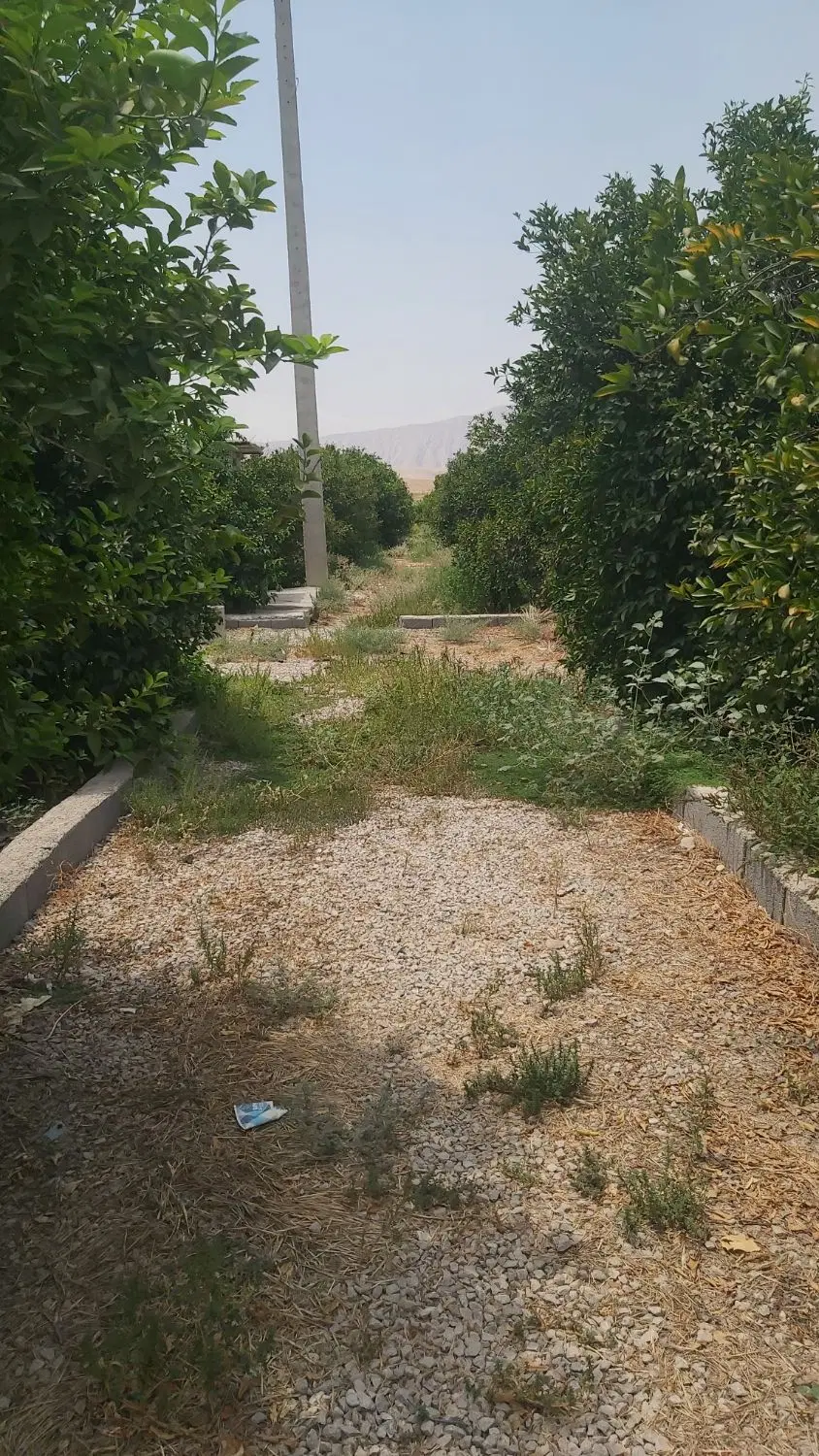 باغچه
