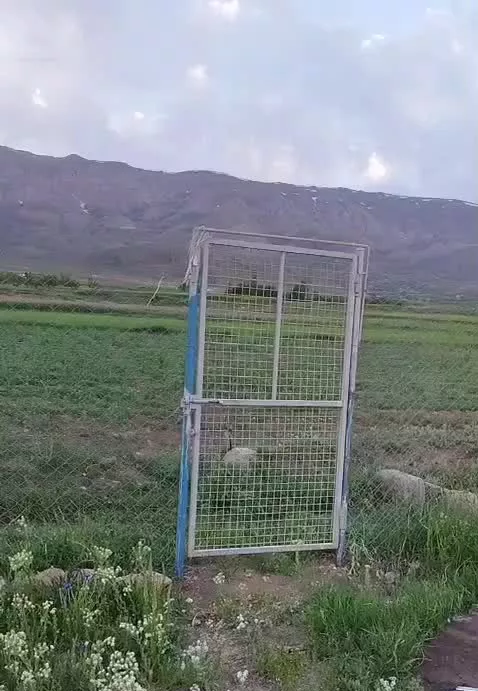 باغ5جیریبی سندداروفنسکشی فریدونشهر
