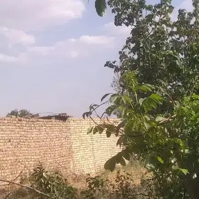 اجاره‌‌ سالن‌  دامداری‌