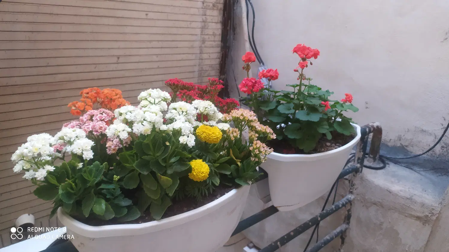 زمین باغ بوستان فاز 4