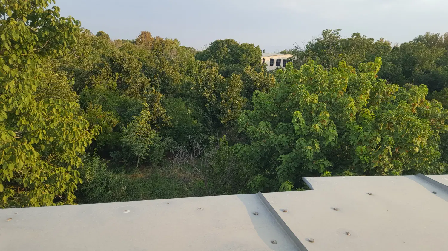 فروش پکیج سه واحد قصردشت