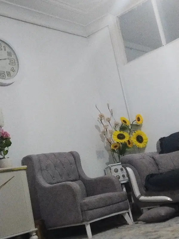 مسکن ملی