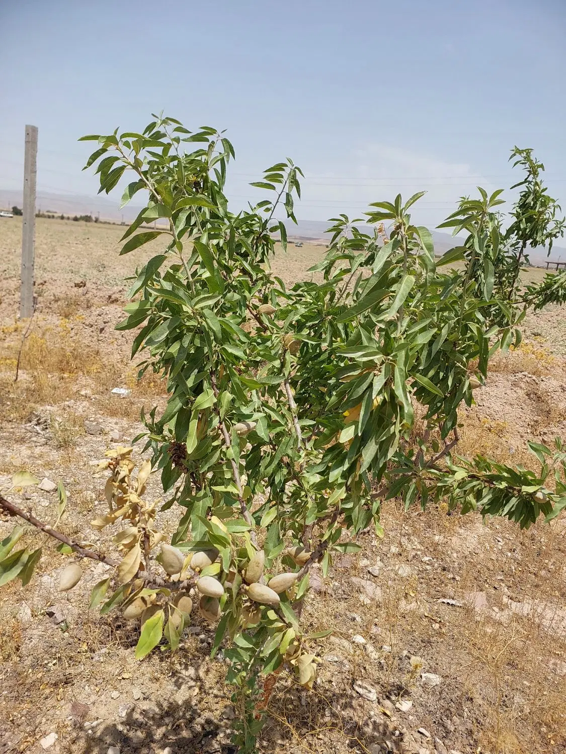 فروش زمین