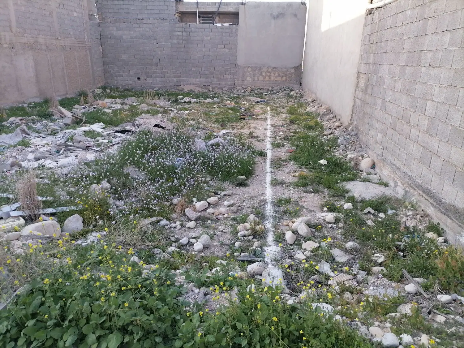 زمین ۲۴۰متری فاز۳ شهرک بسیجیان