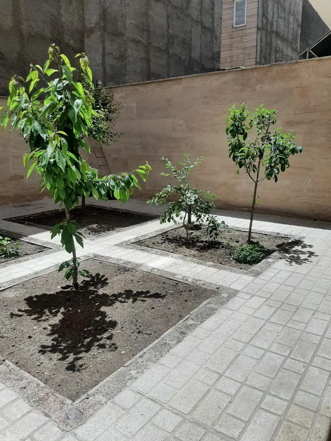 اجاره طبقه اول  ملک جنوبی