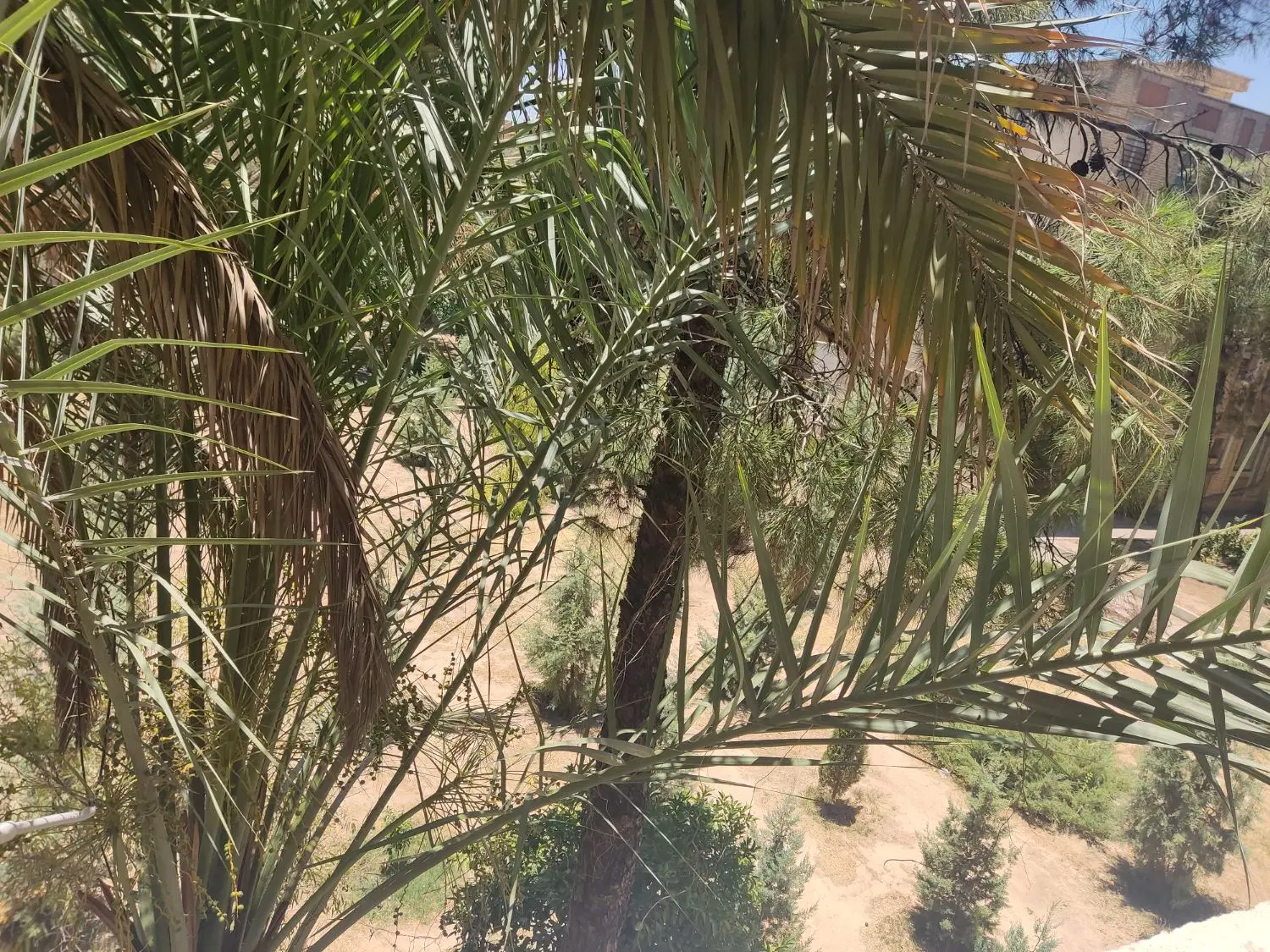آپارتمان دوخوابه کوی زهرا فوق دلباز