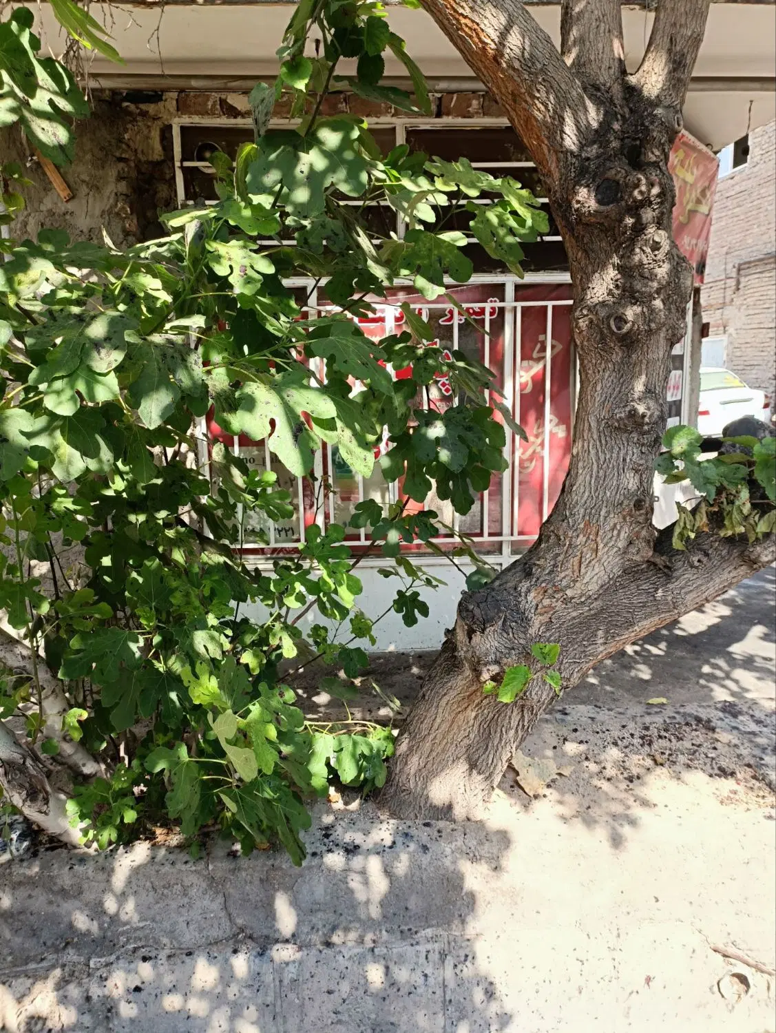 یک باب مغازه