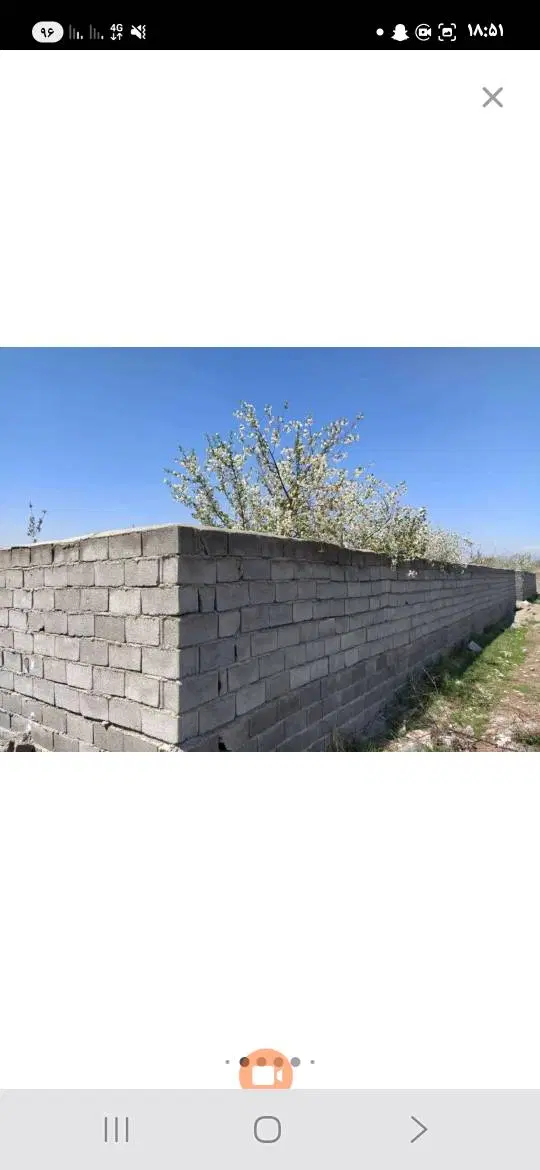 باغ