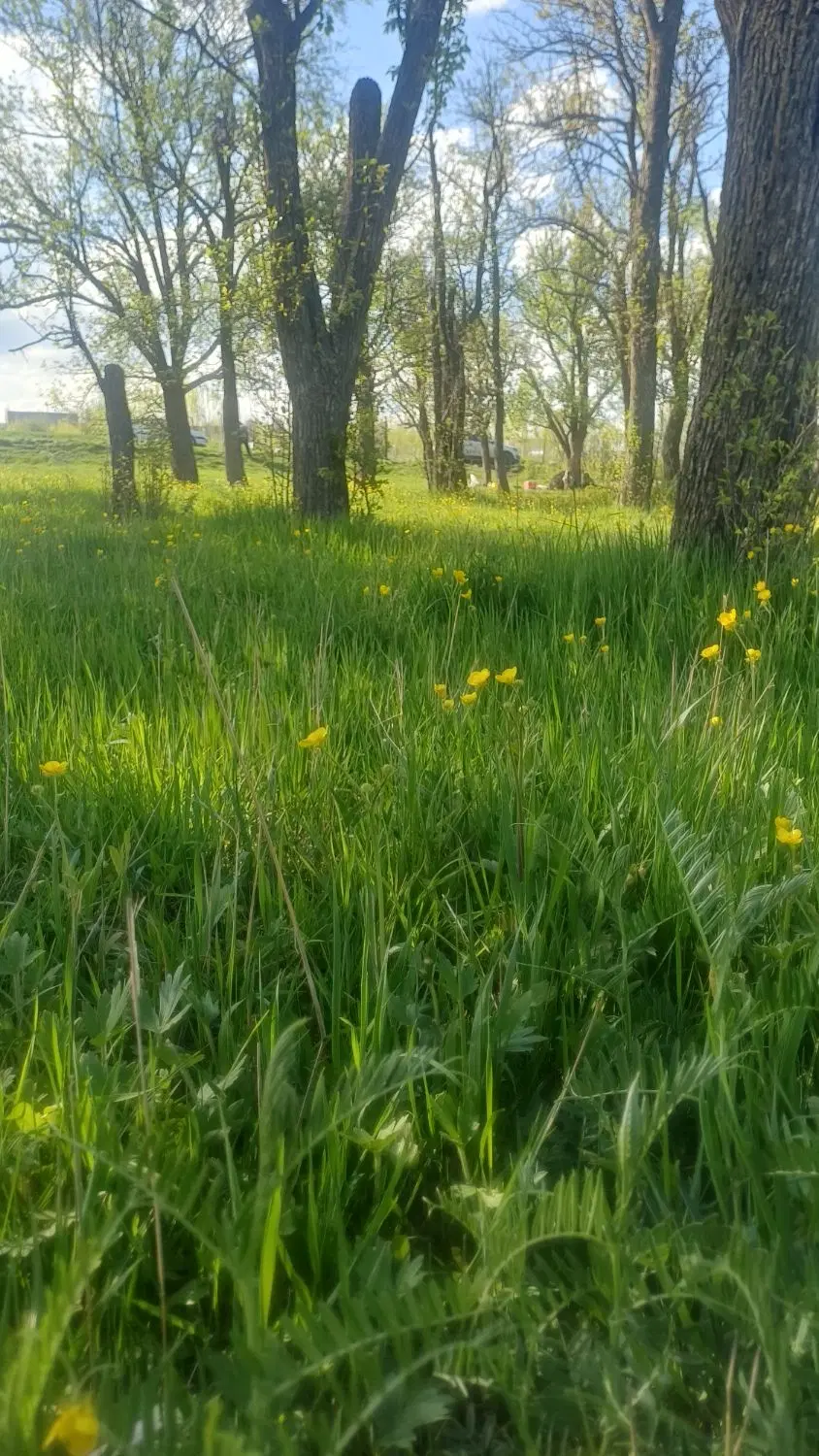 باغ روستای باروق