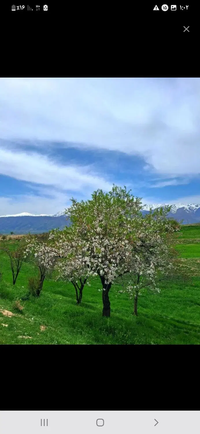 زمین کشاورزی