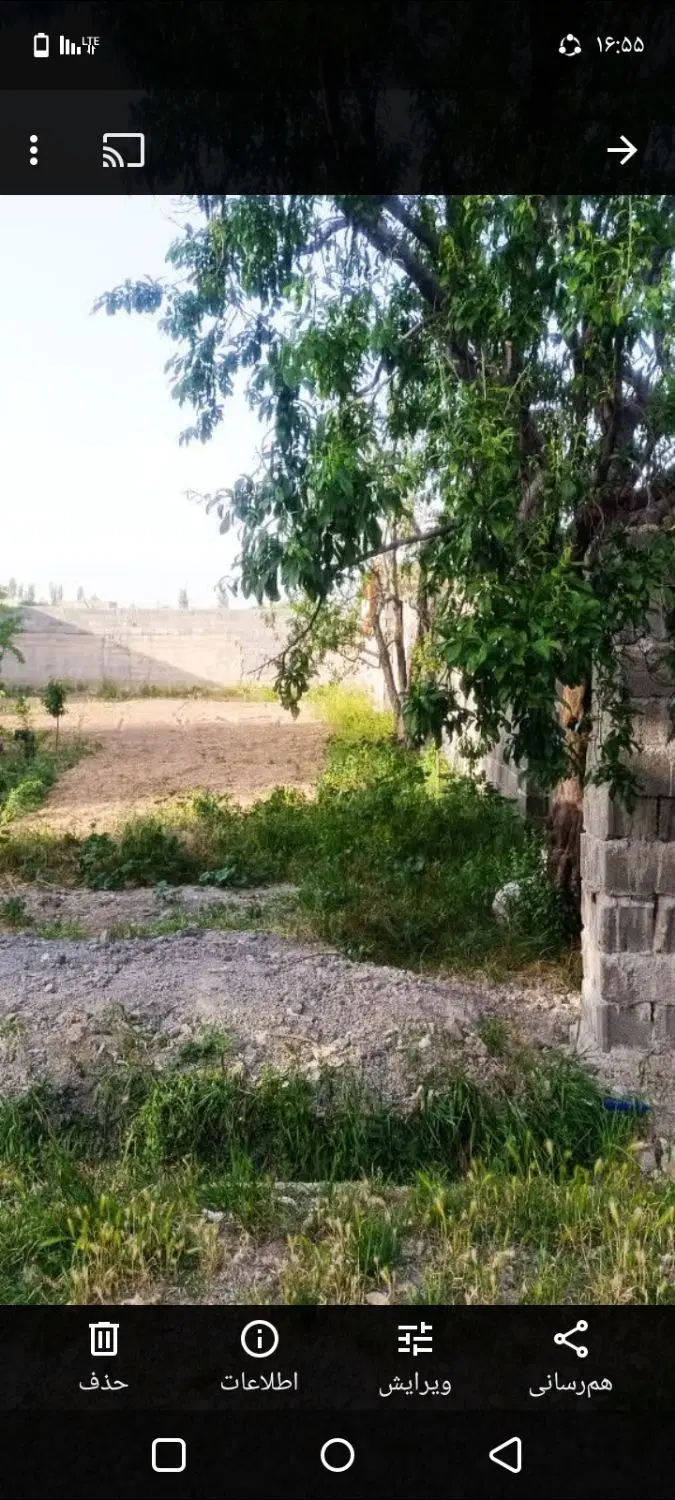باغ و باغچه