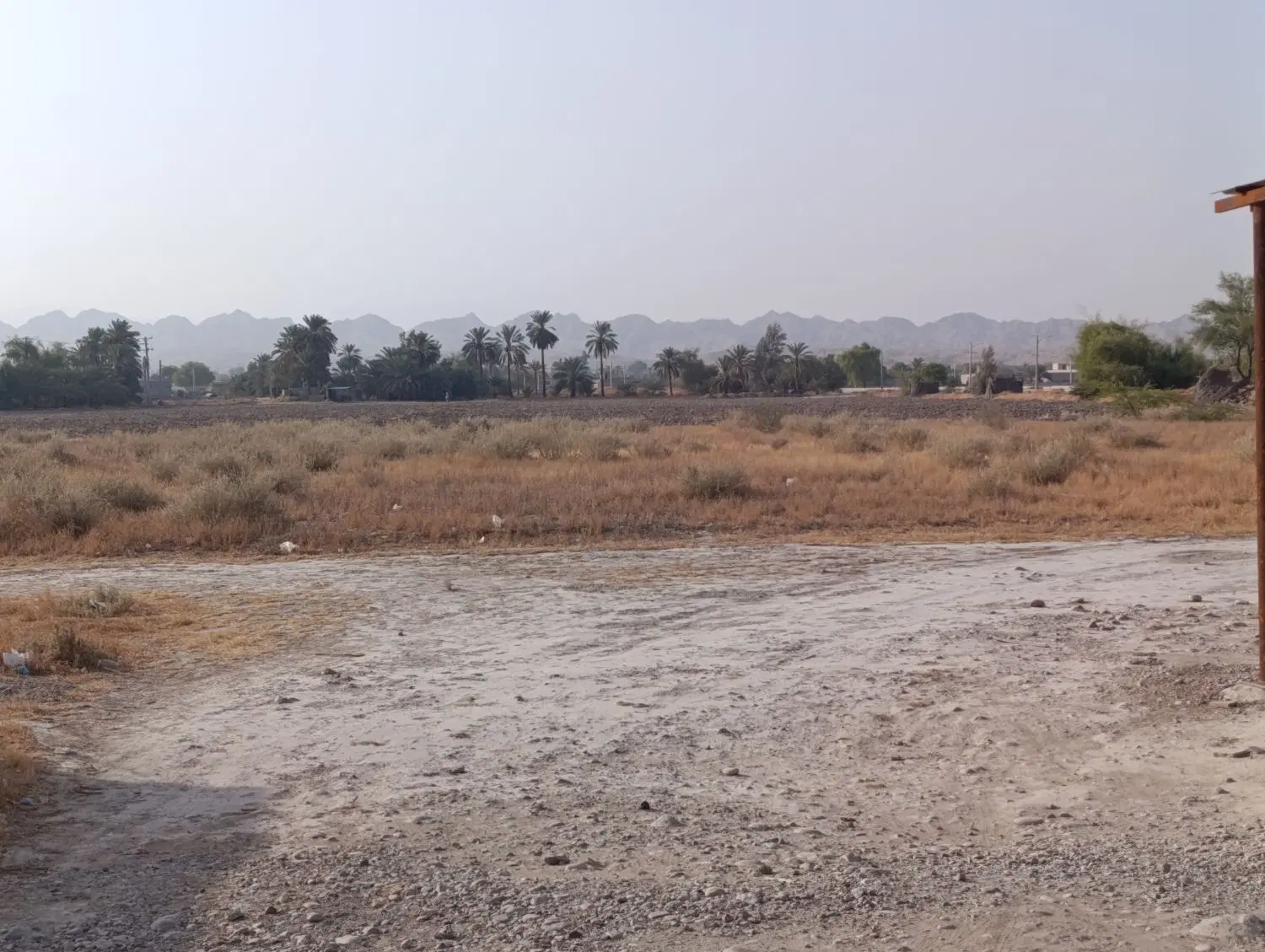 زمین باغی