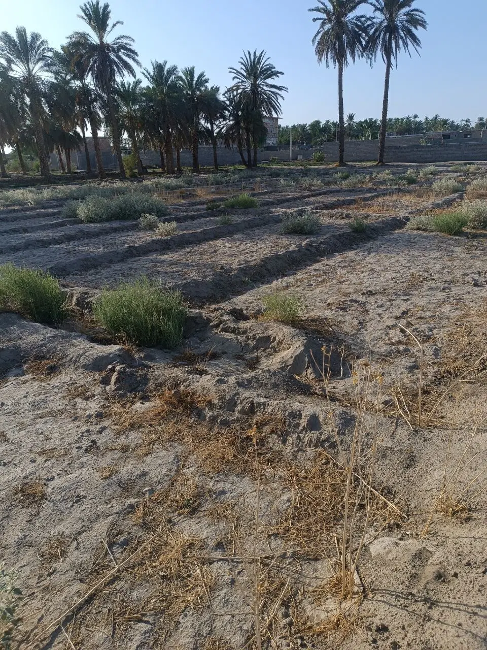 فروش زمین