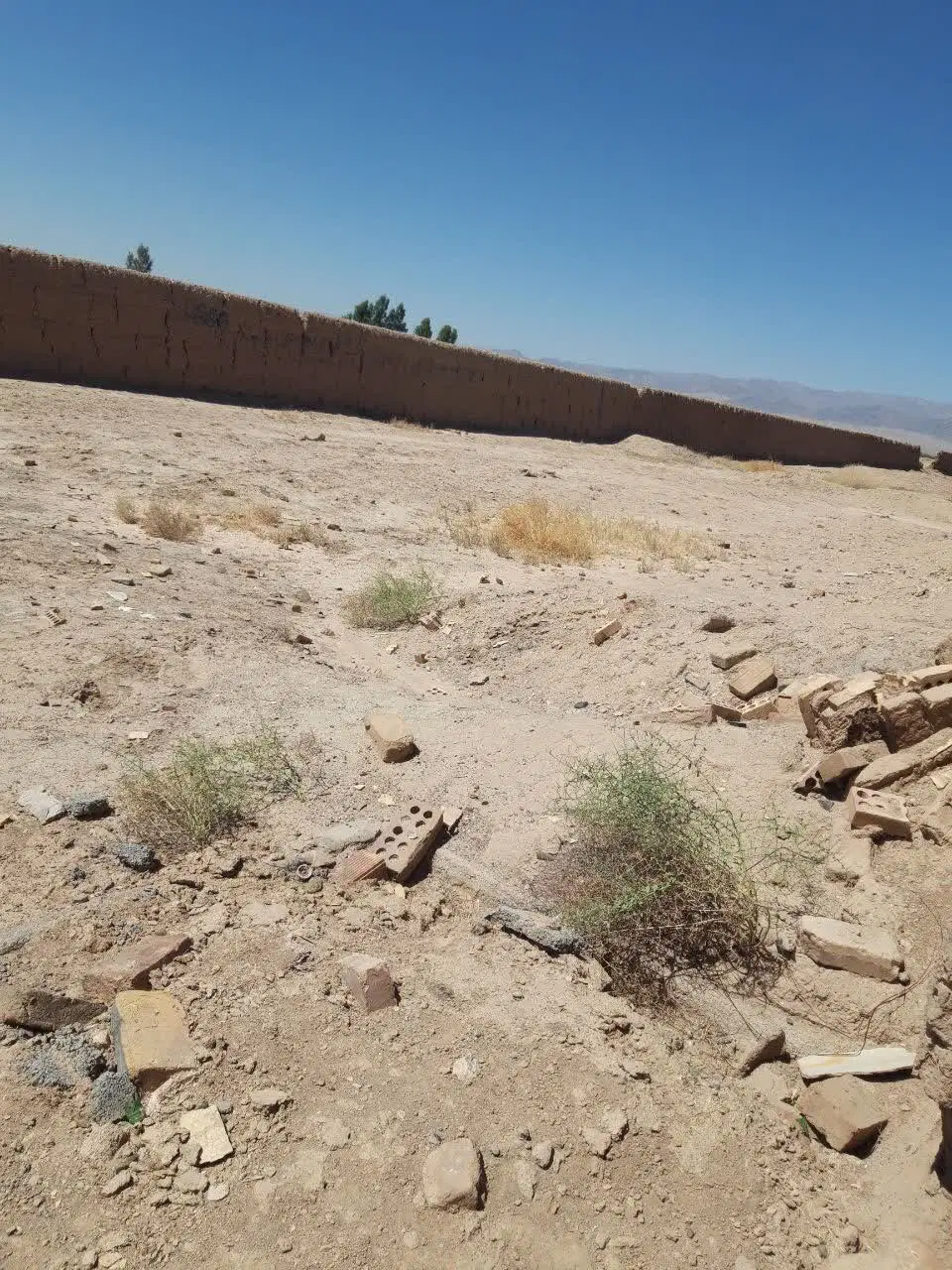 زمین