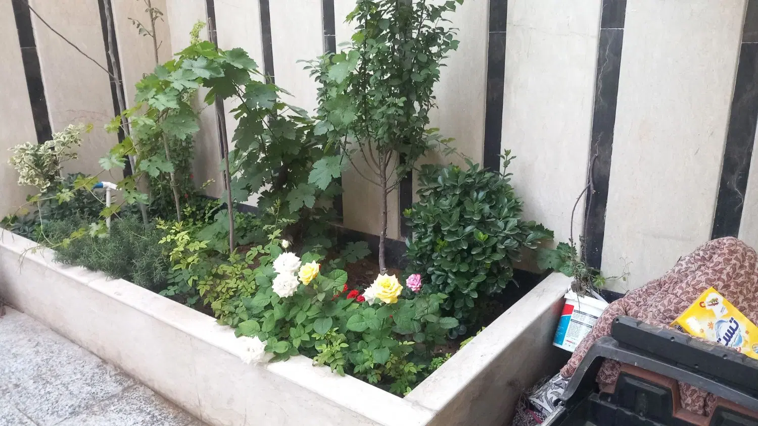 ۶۵ متری شیک تکواحدی